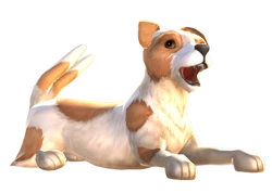 Un crup emocionado y alegre.