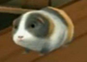 Guinea pig Harry Potter Wiki Fandom