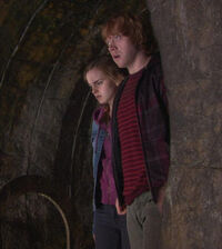 Ronyhermione.jpg