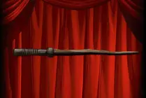 Dieser wurde Harry Potter bei Ollivanders angeboten[4]