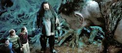 Hagrid introduces the trio to Grawp