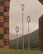 chempionat hogvartsa po kviddichu garri