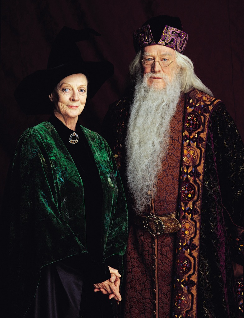 Harry Potter and the Sorcerer's Stone Minerva McGonagall 1/6