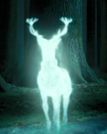 The Patronus Theme Harry Potter Wiki Fandom The Patronus Theme Harry Potter Wiki Fandom