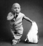 Verne troyer