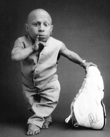 Verne Troyer Wiki Harry Potter Fandom