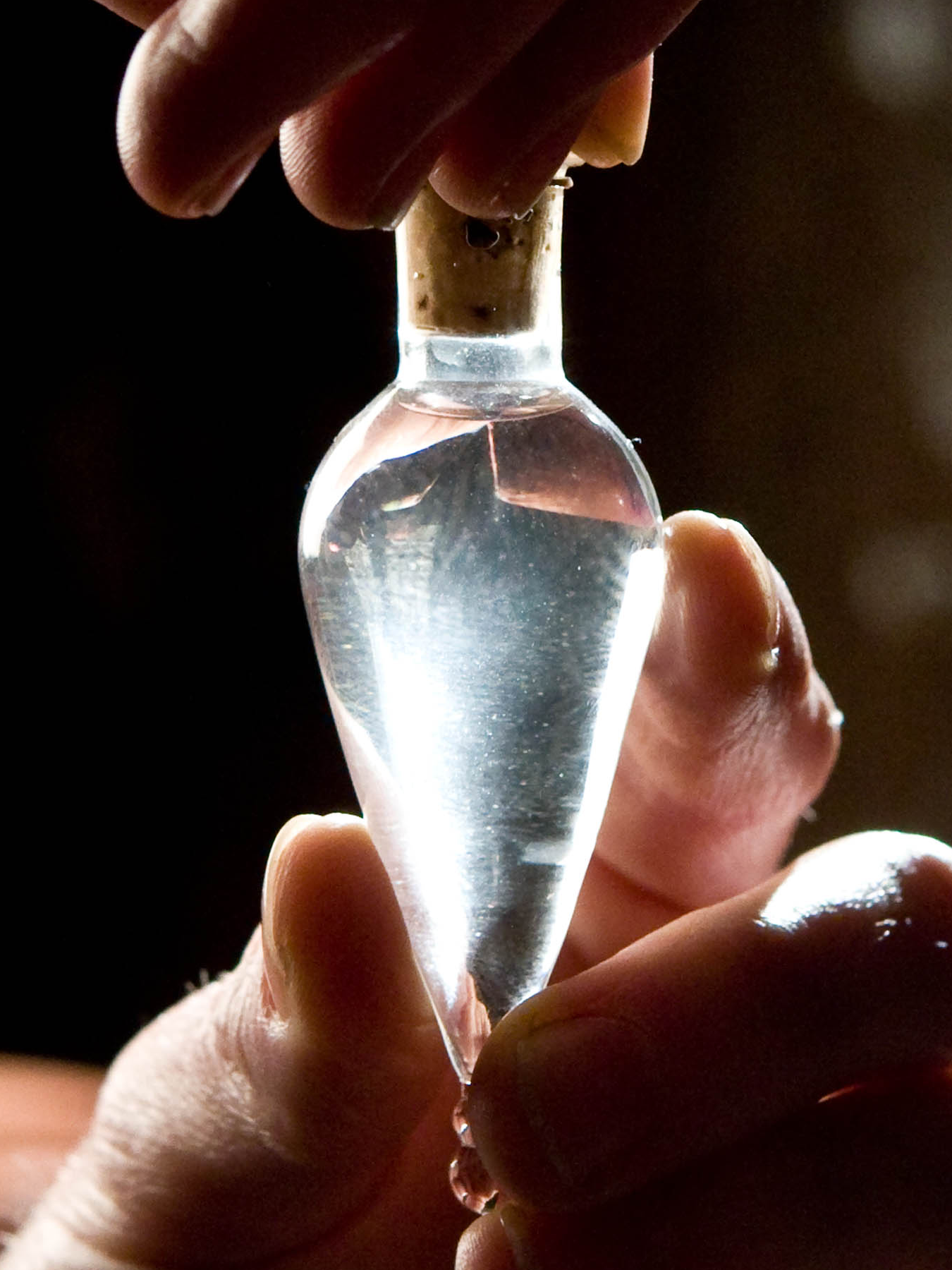 Invisibility Potion, Harry Potter Wiki