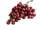 Grape