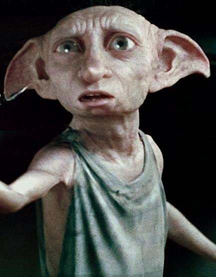 Dobby's clothes, Harry Potter Wiki