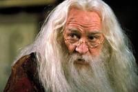 Актёр Ричард Харрис в образе Альбуса Дамблдора 