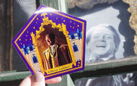 Gilderoy Lockhart Chocolate Frog Card - WWHP