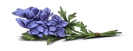 Acônito