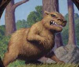 CrazedCabybara