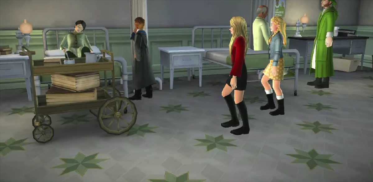 Hospital Ward Harry Potter Wiki Fandom