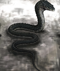 Slytherin's Basilisk