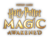 Harry Potter Magic Awakend