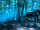 Thestral on land.gif