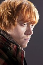 Deathly-Hallows-Part-1-Promo-rupert-grint-27535606-960-1280