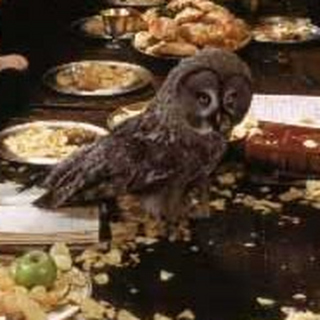 Errol store harry potter