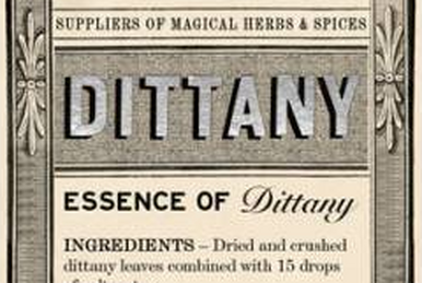 Murtlap essence on sale