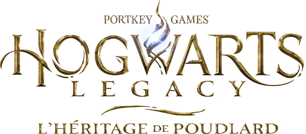 Hogwarts Legacy L'Héritage de Poudlard PS5 - Jeux vidéo