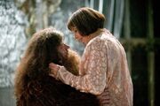 HP4 Hagrid & Olympe