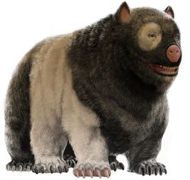 Panda Pig Concept Art