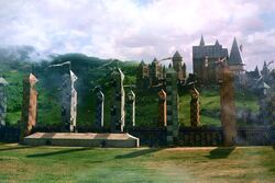 Hogwarts Quidditch pitch, Harry Potter Wiki