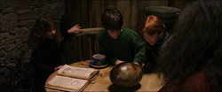 A dragon egg seen by the trio inside Hagrid's Hut PSF