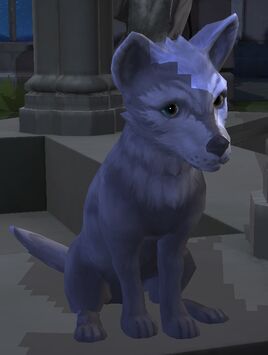 Borf