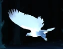 Falcon-patronus.jpg (41 KB) Falcon