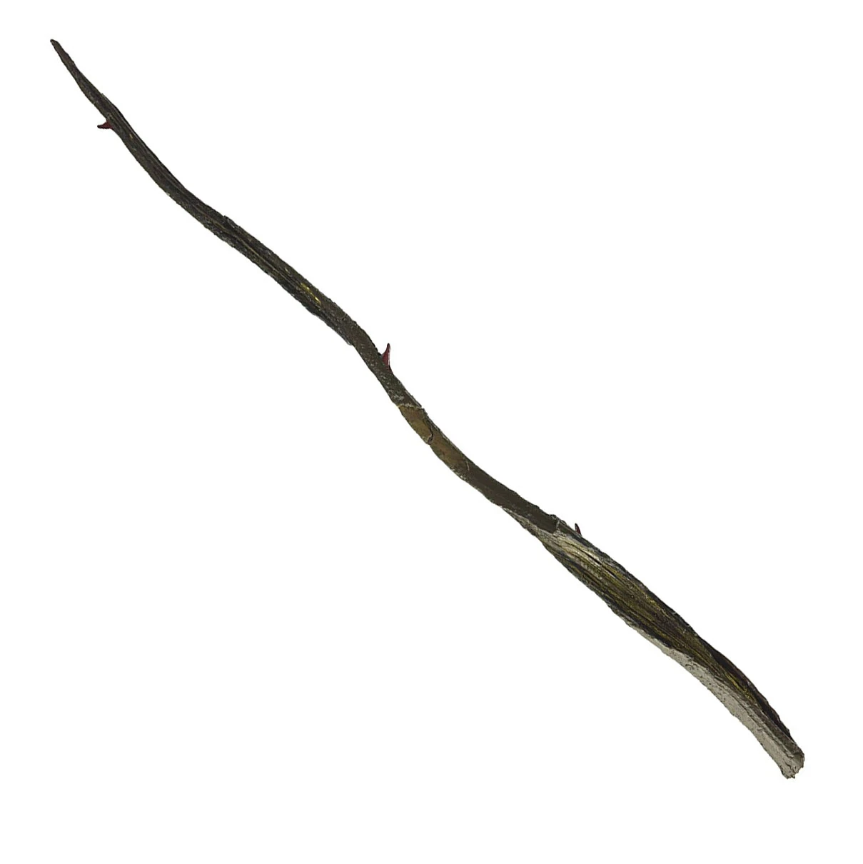 Gellert Grindelwald & Albus Dumbledore 杖 Gellert Grindelwald's wand | Harry Potter Wiki | Fandom