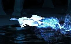 ZwarteZwaan-patronus.jpg (8 kB) Zwarte Zwaan