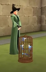 McGonagall pixies