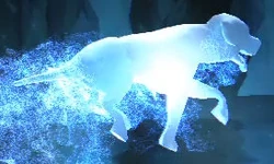 Pottermore Test Du Patronus Wiki Harry Potter Fandom