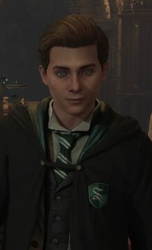 You meet an ancestor of Lord Voldemort at Hogwarts Legacy, but