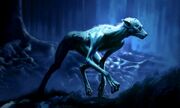 RemusLupin WB F3 Concept of Lupin In Forest As A Werewolf Illustration