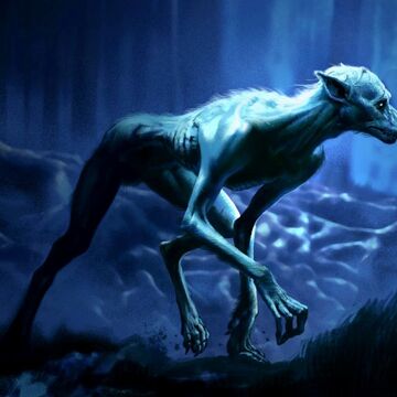 Werewolf Harry Potter Wiki Fandom Mythological creatures mystical animals mythical animal fantasy beasts mythical creatures art fantasy creatures creature art fantasy wolf one winged wolf by efflorescenc3 on deviantart. werewolf harry potter wiki fandom