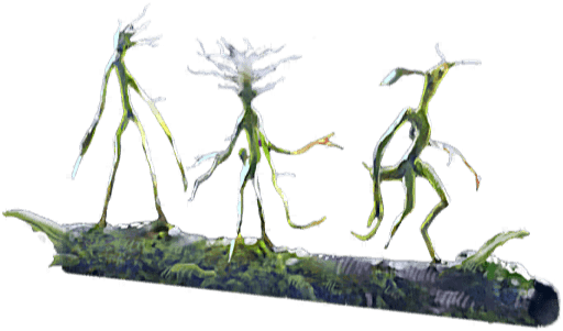 What is a group of bowtruckles called. Смотреть фото What is a group of bowtruckles called. Смотреть картинку What is a group of bowtruckles called. Картинка про What is a group of bowtruckles called. Фото What is a group of bowtruckles called