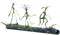 BowtrucklesWU