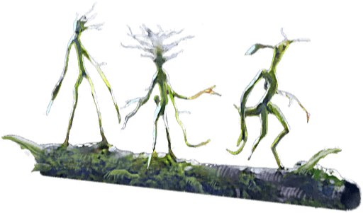 Bowtruckle Harry Potter Wiki Fandom