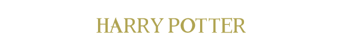 Harrypotterperson.png
