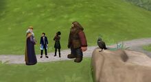 Dumbledore, Jacob's sibling, Liz, Sir Ribbithe, Hagrid and Augurey