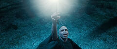 Elderwandvoldemort