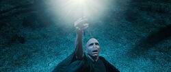 Elderwandvoldemort