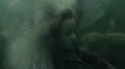 Gabrielle in the  during the second task of the Triwizard Tournament