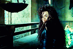 Duel Between Molly Weasley And Bellatrix Lestrange Harry Potter Wiki Fandom