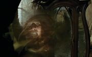 Boggart Shapeshifting.jpg
