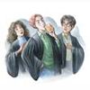 Books chapterart hbp 14