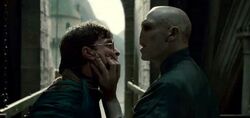 DH - Harry and Voldemort